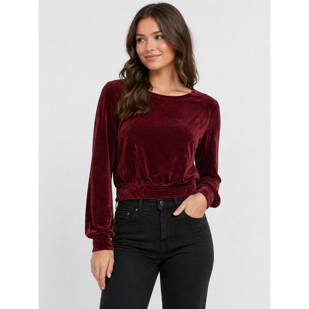 LR10006 Sevvi Velvet Crop Top Small Burgundy Long Sleeve Smocked Waist